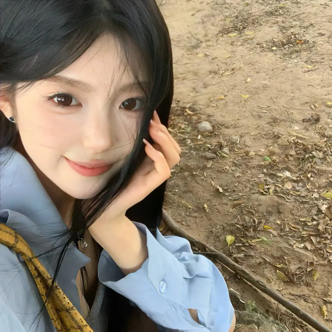 鬣狗之城